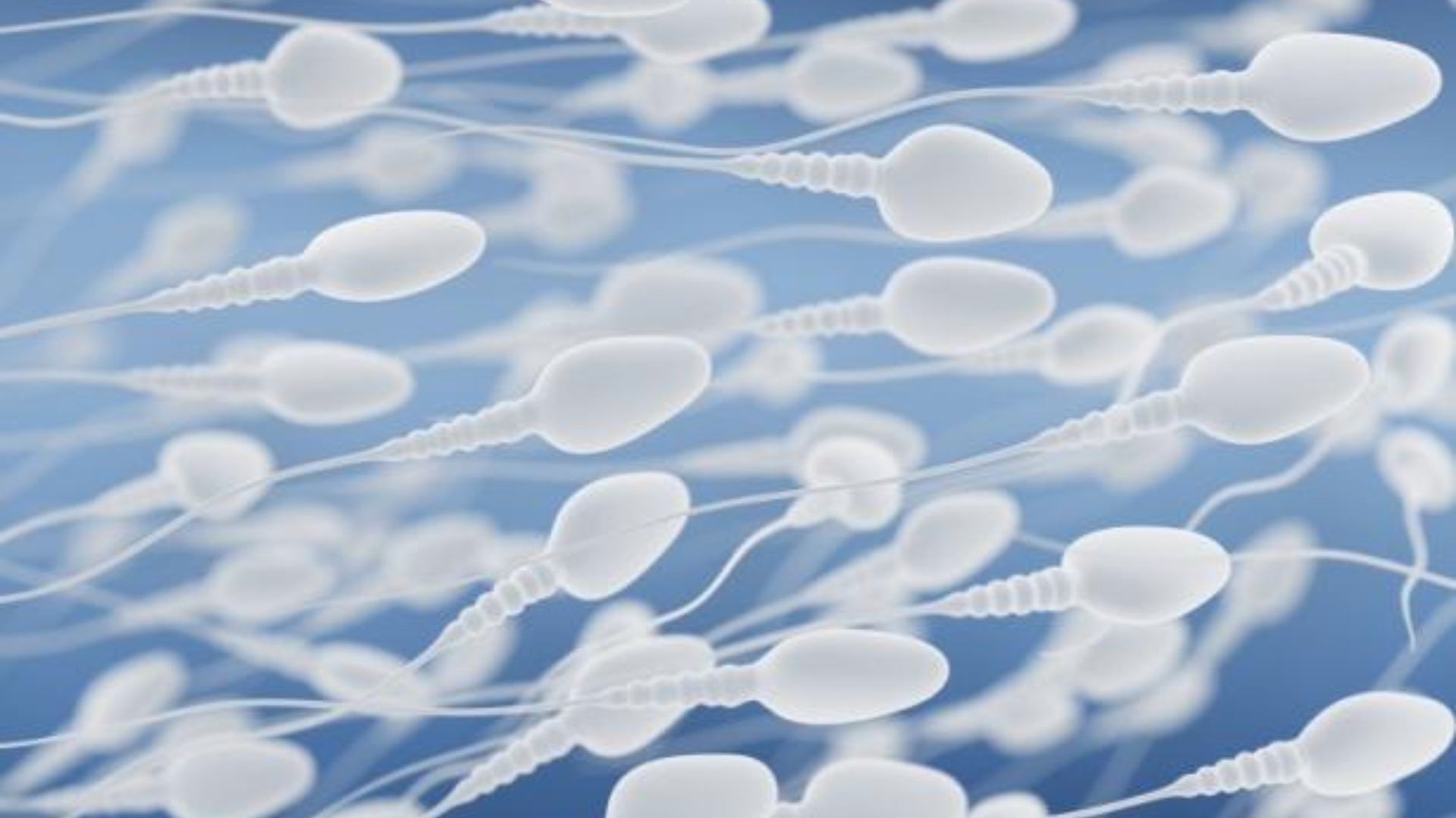 Chinese study suggests COVID-19 temporarily affects sperm quality